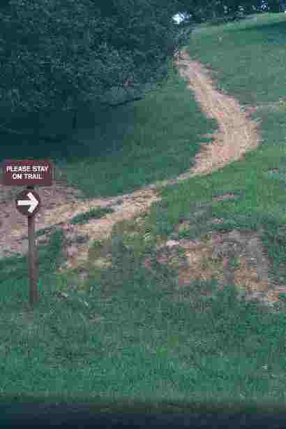 Off-trail mountain biking near Ridgeline Trail