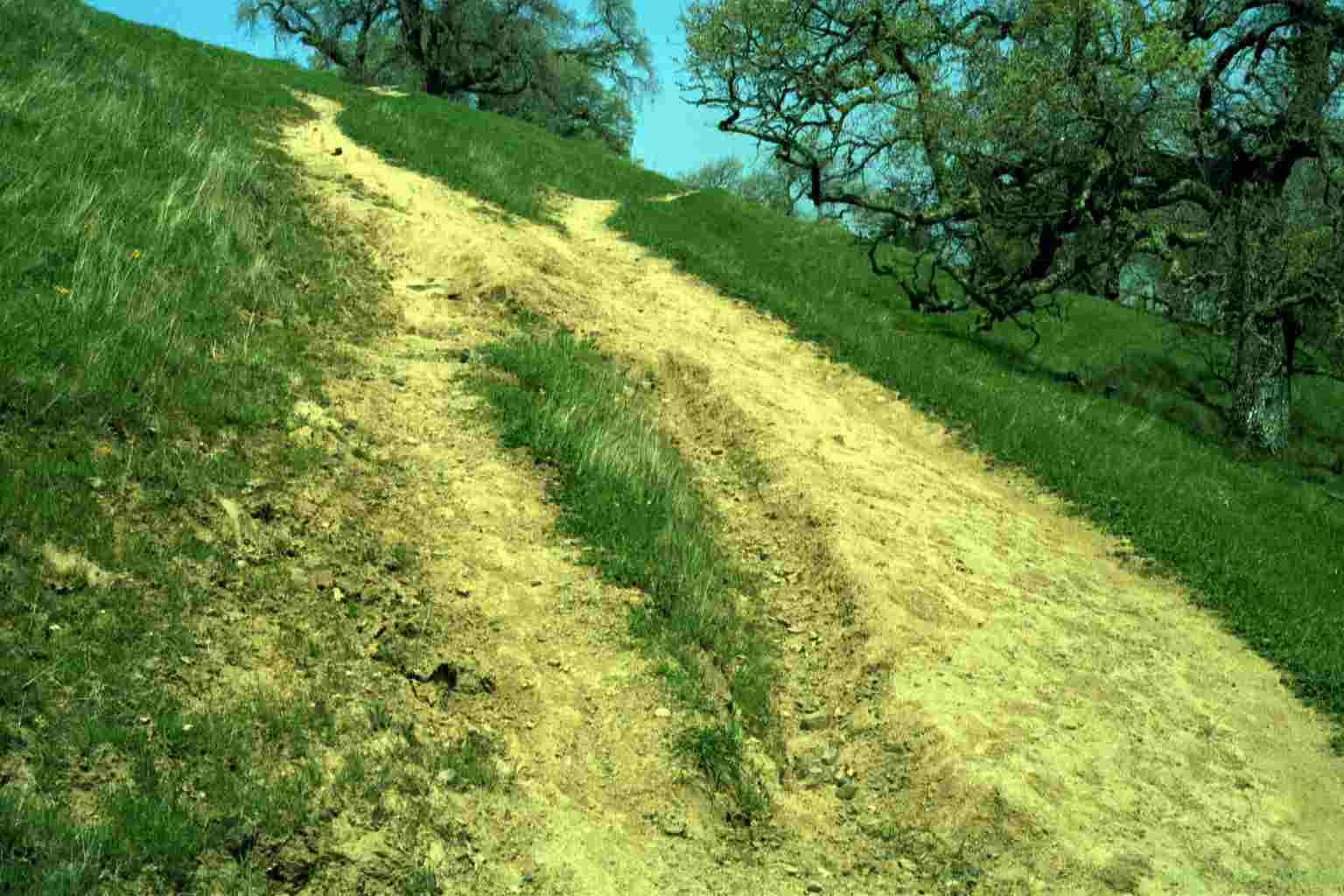 Off-trail mountain biking near Ridgeline Trail
