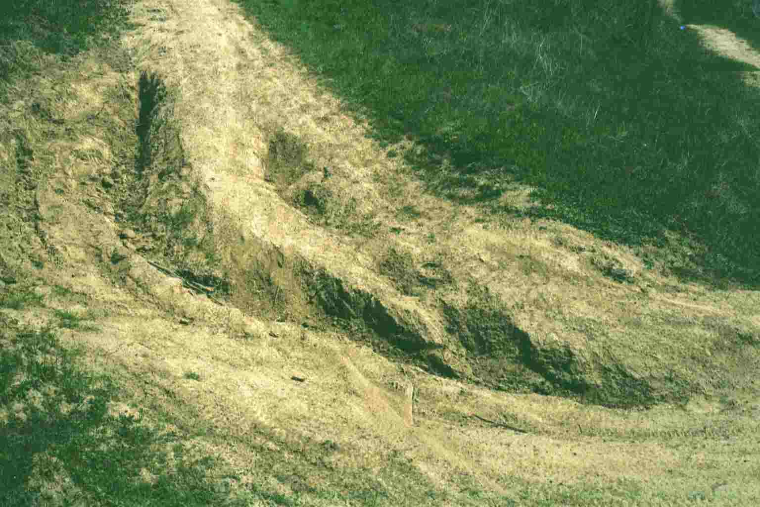 Mountain bike damage on singletrack portion of Sinbad Creek Trail ("model singletrack&quot)