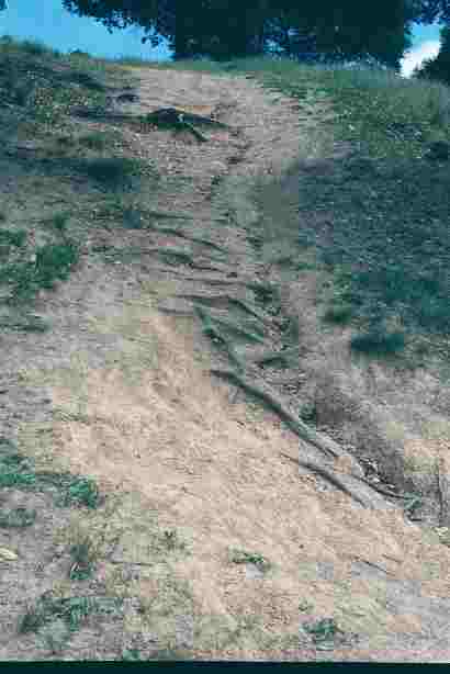 Off-trail mountain biking on the south side of Turtle Back