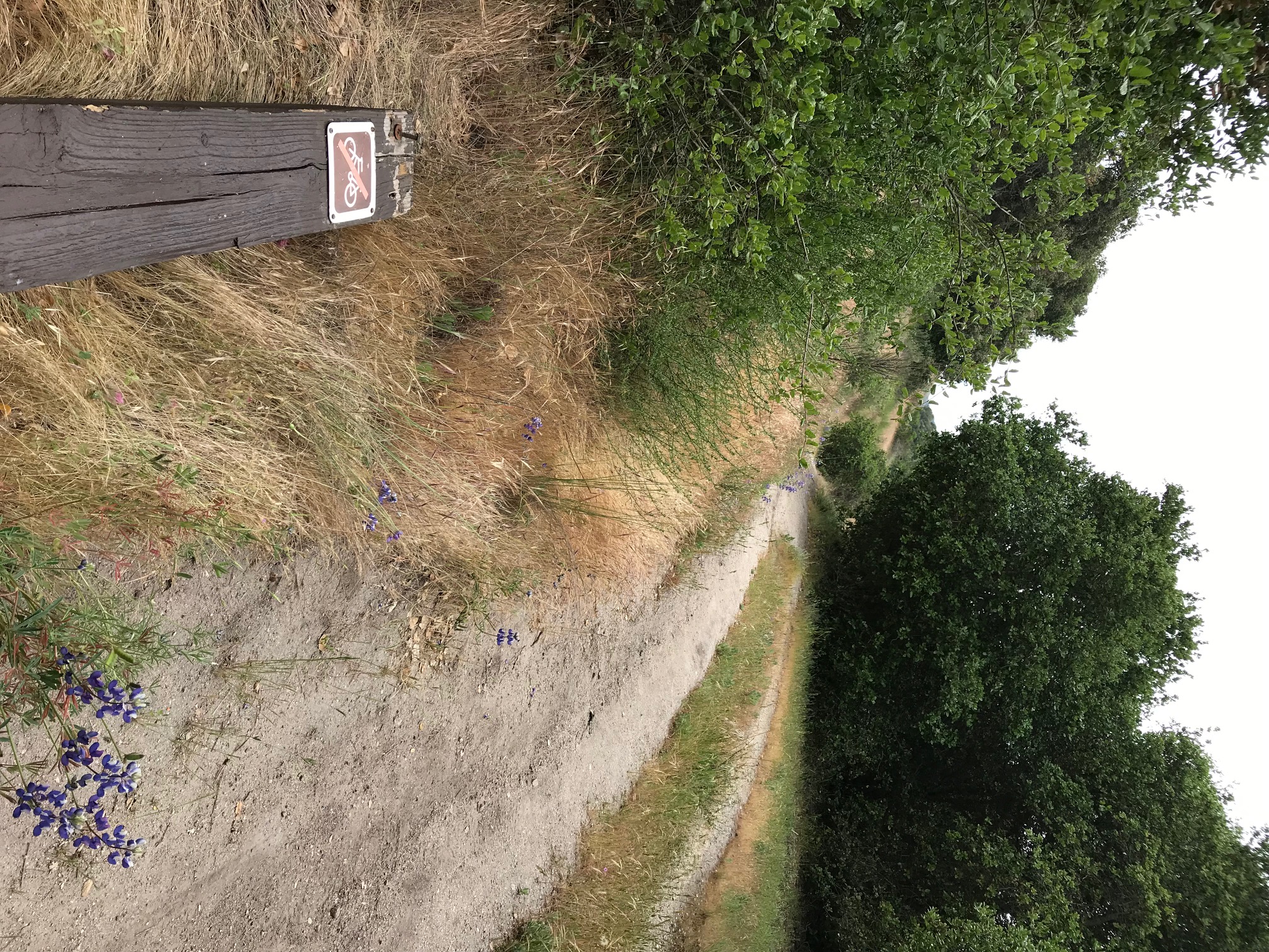 mountain bikers remove "No BIKES" Sign!
