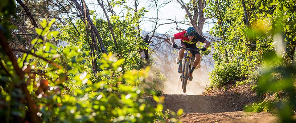 mountain biker "enjoying nature"