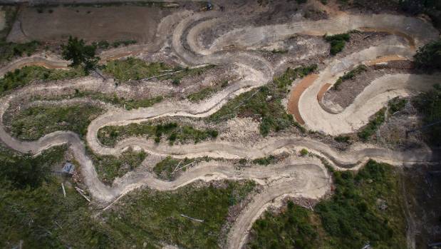 Christchurch Adventure Park (wildlife habitat destroyed for mountain biking)