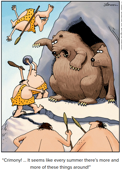 humans invade wildlife habitat