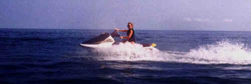 jetski (invades wildlife habitat)