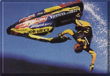 jetski (invades wildlife habitat)