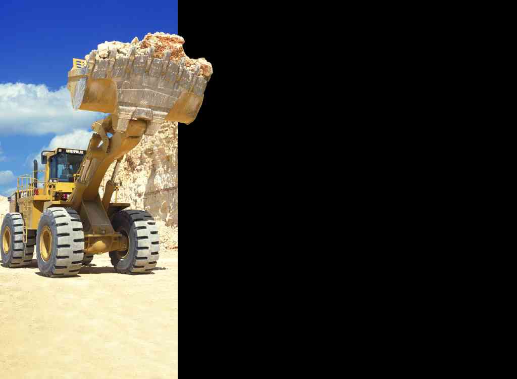 heavy equipment (destroys wildlife habitat)
