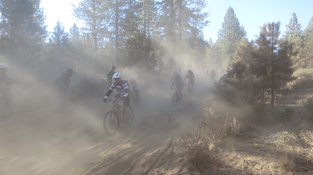 mountain bike (invades and destroys wildlife habitat)