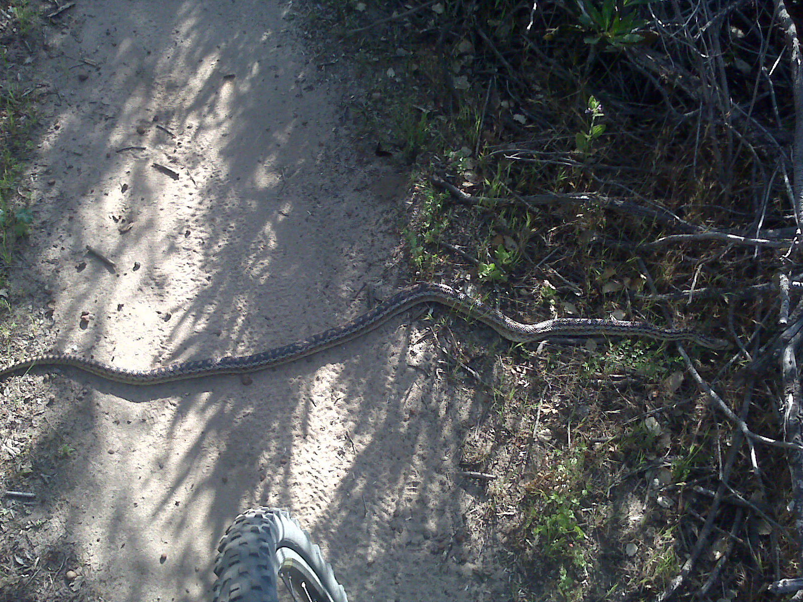 why bikes don't belong in natural areas
