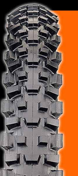 mountain bike (knobby) tire (creates erosion)