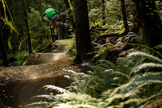 this shows why mountain bikers should not be allowed to design trails