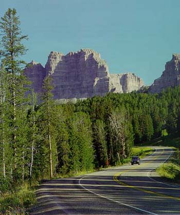 road (fragments habitat)