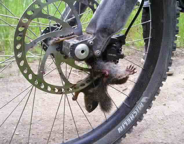 why bikes don't belong in natural areas