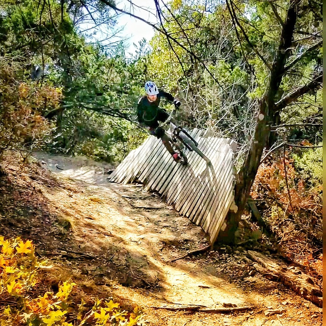mountain bikers vandalize a tree for cheap thrills