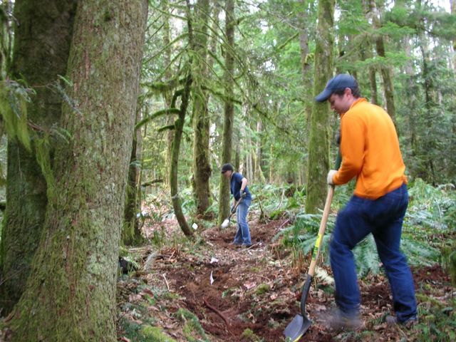 mountain bikers destroy rainforest for cheap thrills