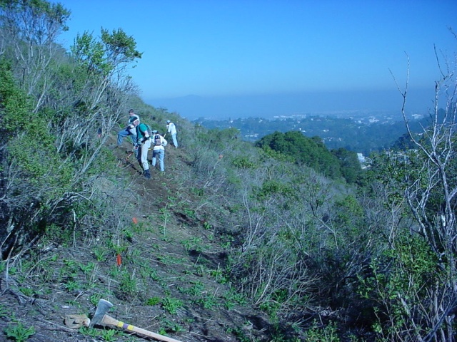 mountain bikers destroying wildlife habitat to make a trail